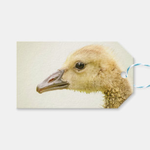 Kanadische Gänse (Gänse) Geschenkanhänger