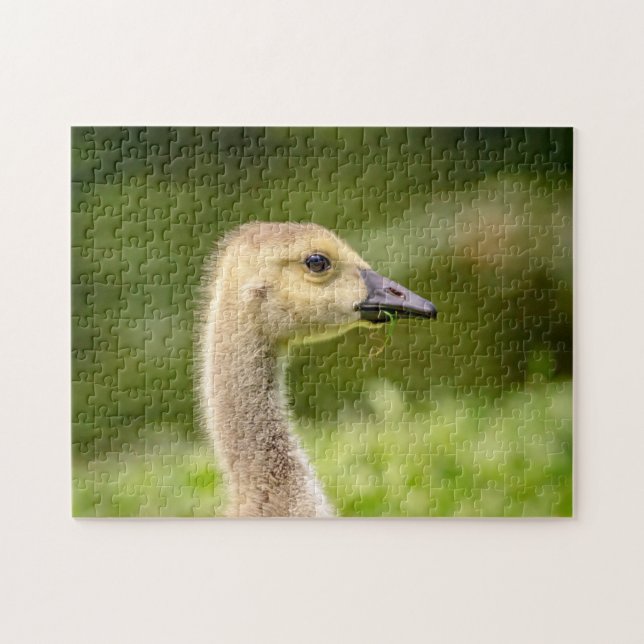 Kanadische Gänse (Gänse) Puzzle (Horizontal)