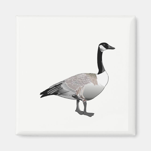 Kanadische Gänse Magnet (Vorne)