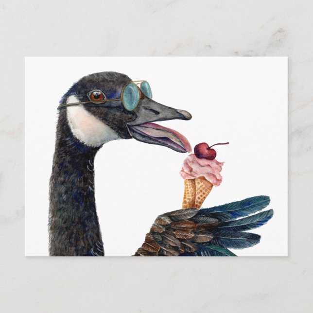 Kanadische Gänse mit Eiscreme Postkarte (Vorderseite)