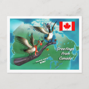 kanadische Gänse Postkarte