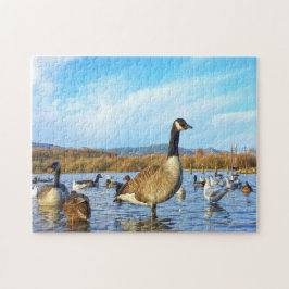 Kanadische Gänse. Puzzle