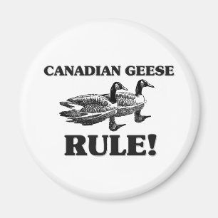 KANADISCHE GÄNSE Regel! Magnet