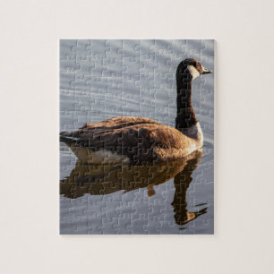 Kanadische Gänse Schwimmen am See Puzzle