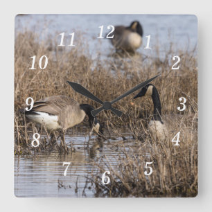 Kanadische Gänse Snack Time Wall Clock Quadratische Wanduhr