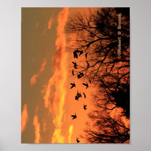 Kanadische Gänse Sonnenuntergang Silhouette Holzpo Poster