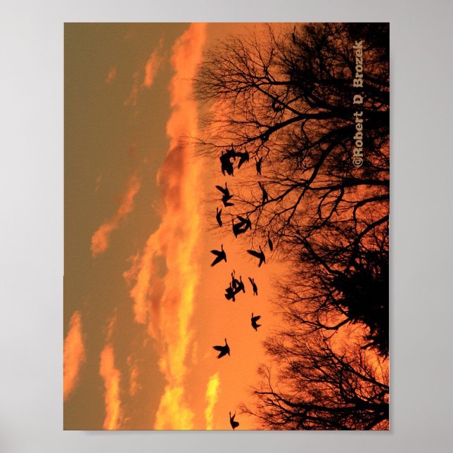 Kanadische Gänse Sonnenuntergang Silhouette Holzpo Poster (Vorne)