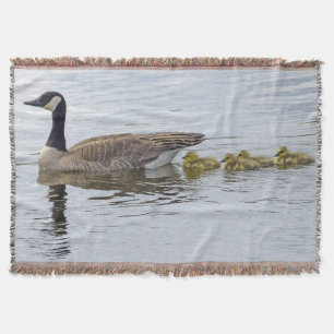 Kanadische Gänse und Goslings Decke