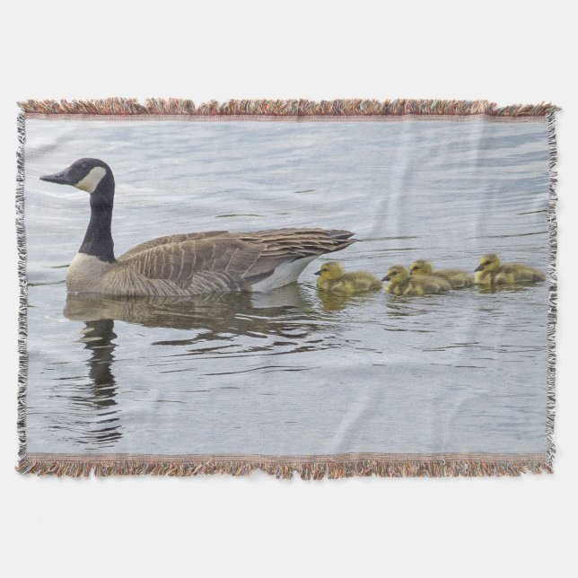 Kanadische Gänse und Goslings Decke (Vorderseite)
