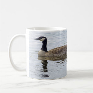 Kanadische Gänse und Goslings Tasse