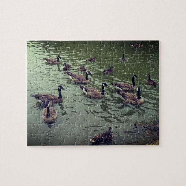 Kanadische Gänse und Mallard Ducks Jigsaw Puzzle (Horizontal)