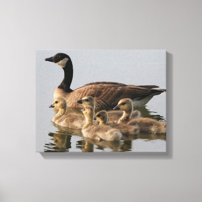 Kanadische Gänse-Vogelliebhaber Geschenke Leinwanddruck (Vorderseite)