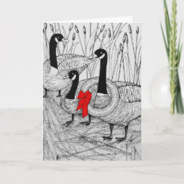 Kanadische Gänse Weihnachten