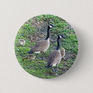 Kanadische Gänserfamilie Button