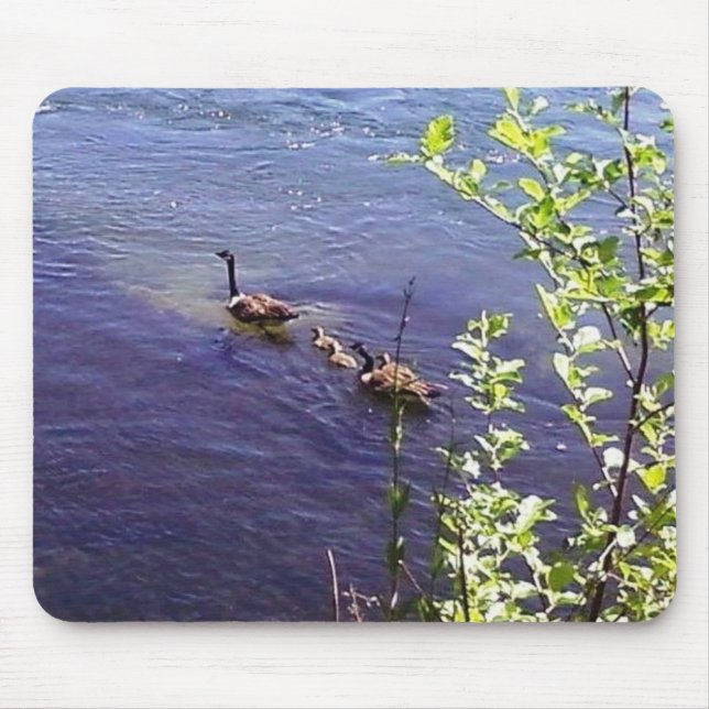 Kanadische Gänserfamilie Mousepad (Vorne)