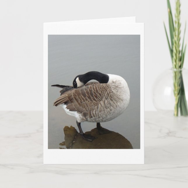 Kanadische Gänskarte Karte (Vorderseite)