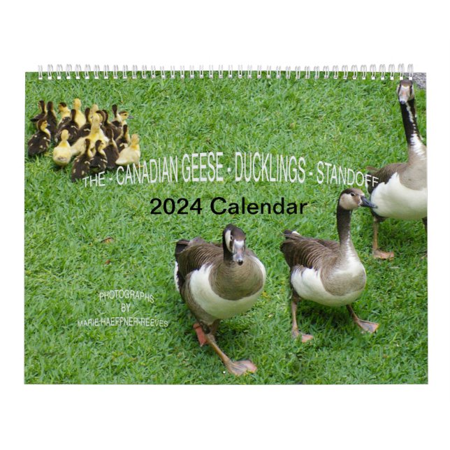 *KANADISCHE GEESE* - *KLINGS* STANDOFF 2024 KALENDER (Titelbild)