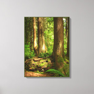 Kanadische Landschaft West Coast Forest Art Print Leinwanddruck