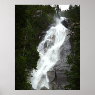 Kanadische Landschaft West Coast Forest Art Print Poster