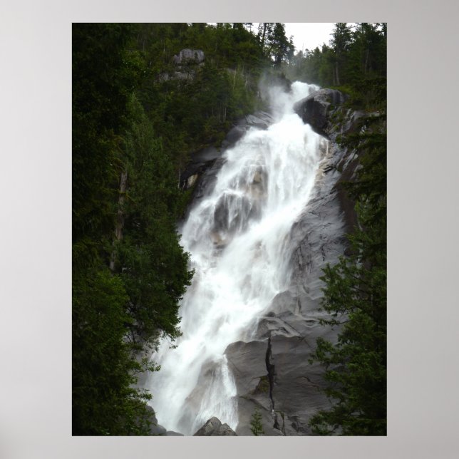 Kanadische Landschaft West Coast Forest Art Print Poster (Vorne)