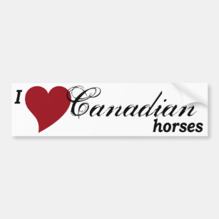 kanadische Pferde Autoaufkleber