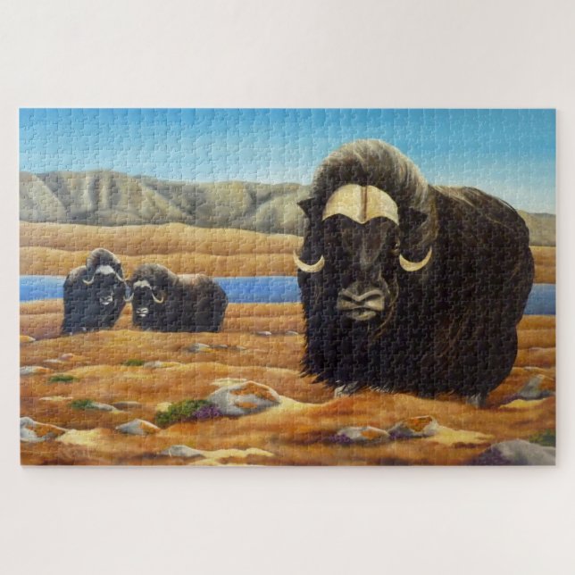 Kanadische Puzzles für Wildtiere - Muskox (Horizontal)