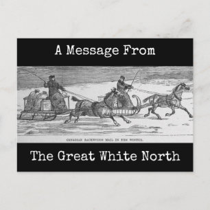 Kanadische Rückholzmast Postkarte