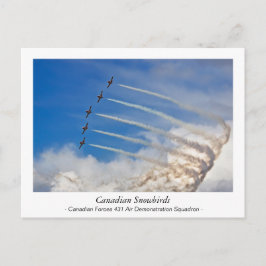 Kanadische Schneevögel Postkarte