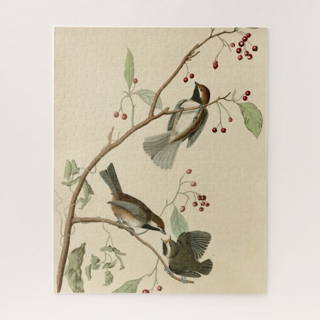 Kanadische Titmouse aus Audubons Vögeln von Amerik Puzzle (Vertikal)