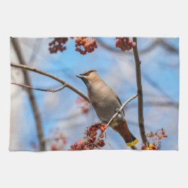 Kanadische Wildtiere: Bohemische Waxwing-Fotografi Geschirrtuch