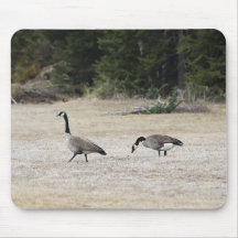 Kanadischer Gänse Mouse Pad