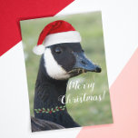Kanadischer Goose Wear Weihnachtsmannmütze Holiday Feiertagskarte<br><div class="desc">Eine skurrile Weihnachtsgrüßkarte,  die das Foto eines Kanadengas mit roter Weihnachtsmannmütze und holzbeeriger Halskette zeigt. Wählen Sie aus einer matten oder glänzenden Stilkarte. Ein lustiges,  tierisches Design für die Feriensaison!</div>