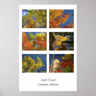 kanadischer Herbst Poster