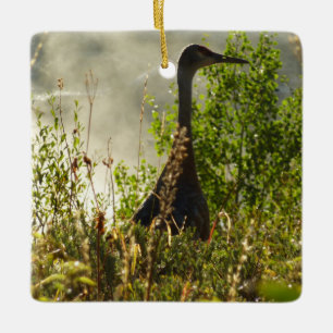 Kanadischer Kranich bei Moose Ponds im Grand Teton Keramikornament