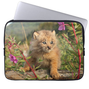 Kanadischer Luchsjunges, Alaska Laptopschutzhülle