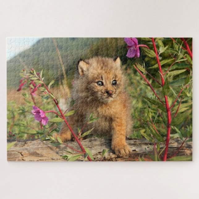 Kanadischer Lynx Kitten, Alaska Puzzle (Horizontal)