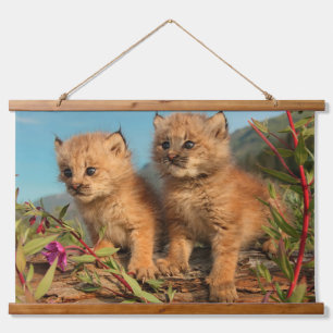 Kanadischer Lynx Kittens, Alaska Wandteppich Mit Holzrahmen