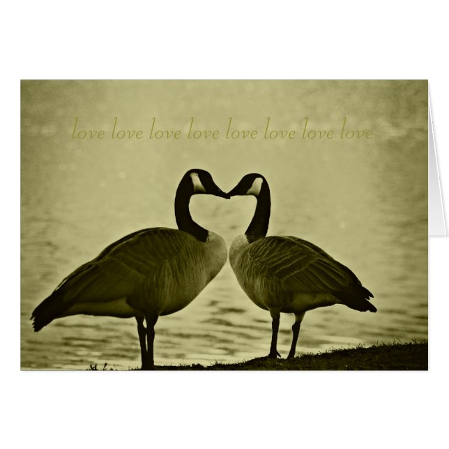 Kanadisches Gans-Foto (Vorderseite (Horizontal))