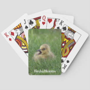 Kanadisches Gans-Küken Spielkarten