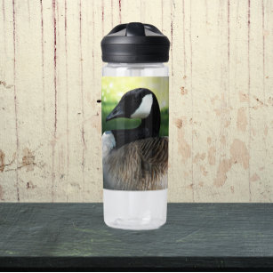 Kanadisches Goose Wildlife Foto Trinkflasche