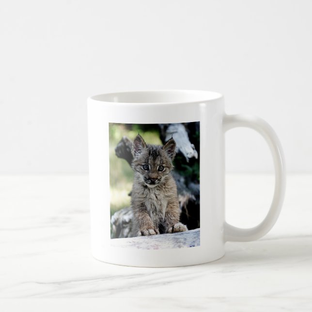 Kanadisches Luchs-Kätzchen Tasse (Rechts)