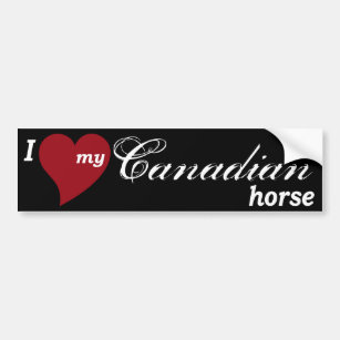 kanadisches Pferd Autoaufkleber