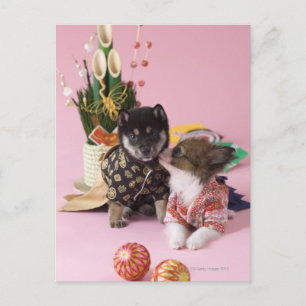 Kanagawa, Honshu, Japan Postkarte