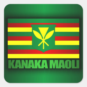 Kanaka Maoli Flag Quadratischer Aufkleber
