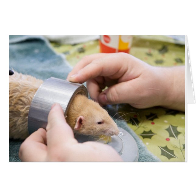 Kanalband (Vorderseite (Horizontal))