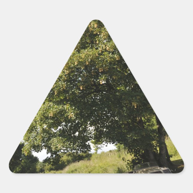 Kanalboote Dreieckiger Aufkleber (Vorderseite)