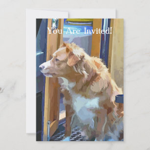 KANALBOOTE EINLADUNG