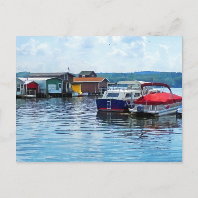 Kanandaigua Fischhaie Postkarte (Vorderseite)