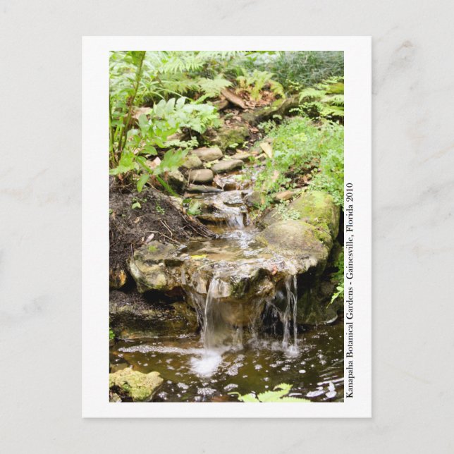 Kanapaha Gardens - Gainesville 2002 Postkarte (Vorderseite)
