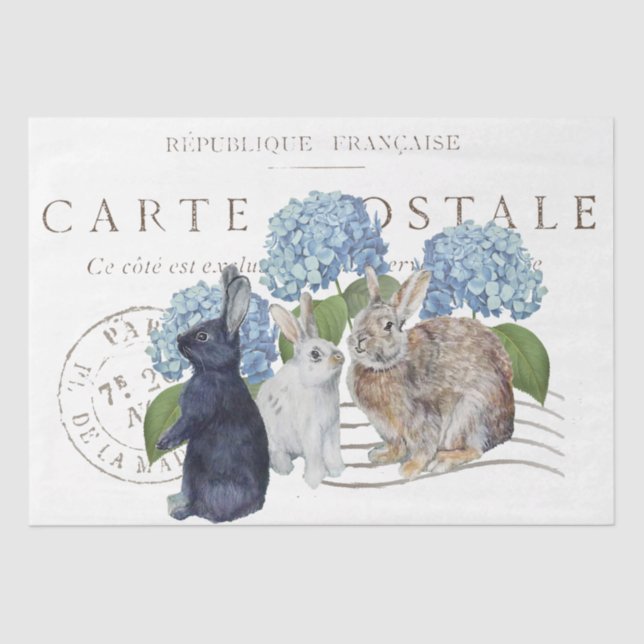 Kanbit Hydrangea Blume Carte Postale Decoupage Seidenpapier (Vorderseite)